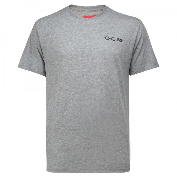 Футболка HISTORICAL S/S TEE SR Athletic Grey